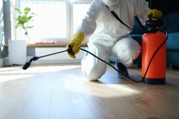 Trusted Sewage Cleanup service in Port Orange, FL - Four Month Blood Cleanse
